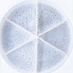 Arete-Buillion-Argento